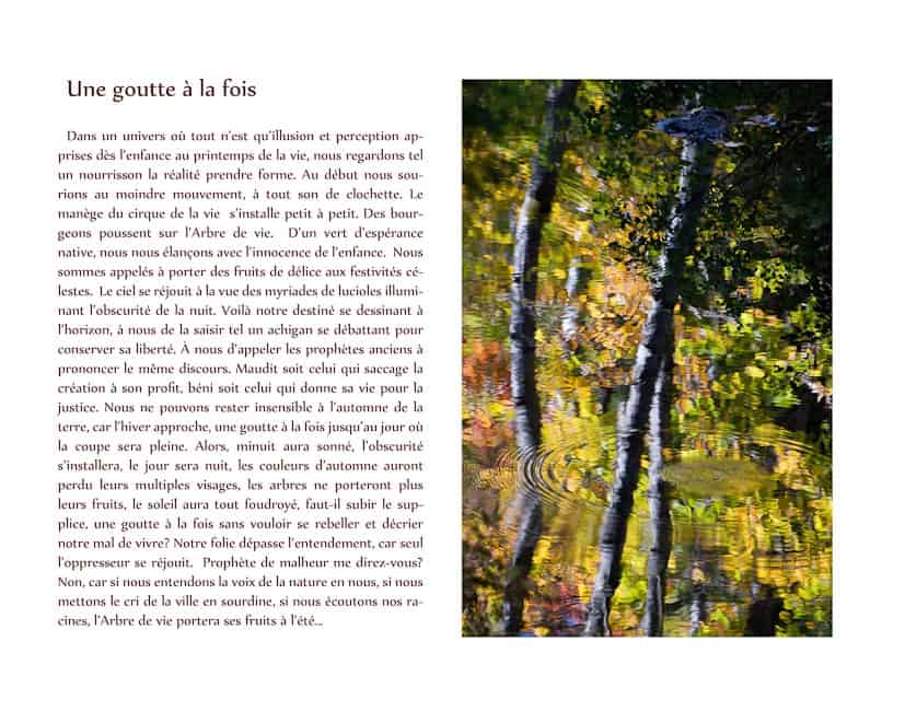 Une goutte à la fois