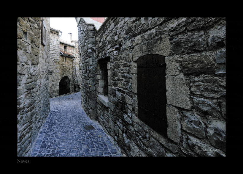 Naves