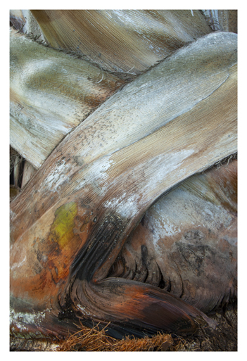 Une goûte à la fois